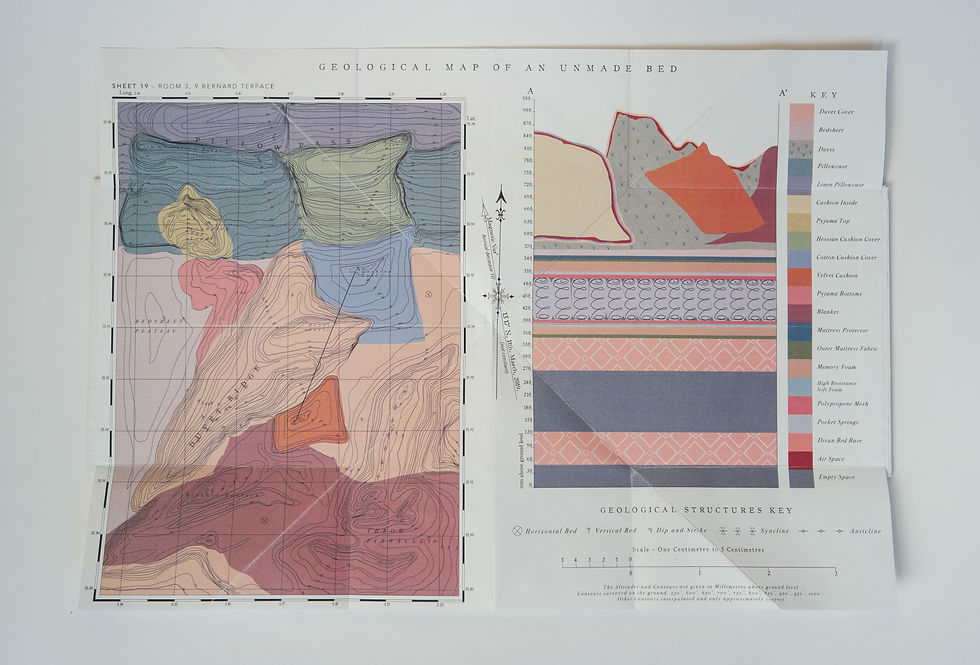 Geological Map full.jpg