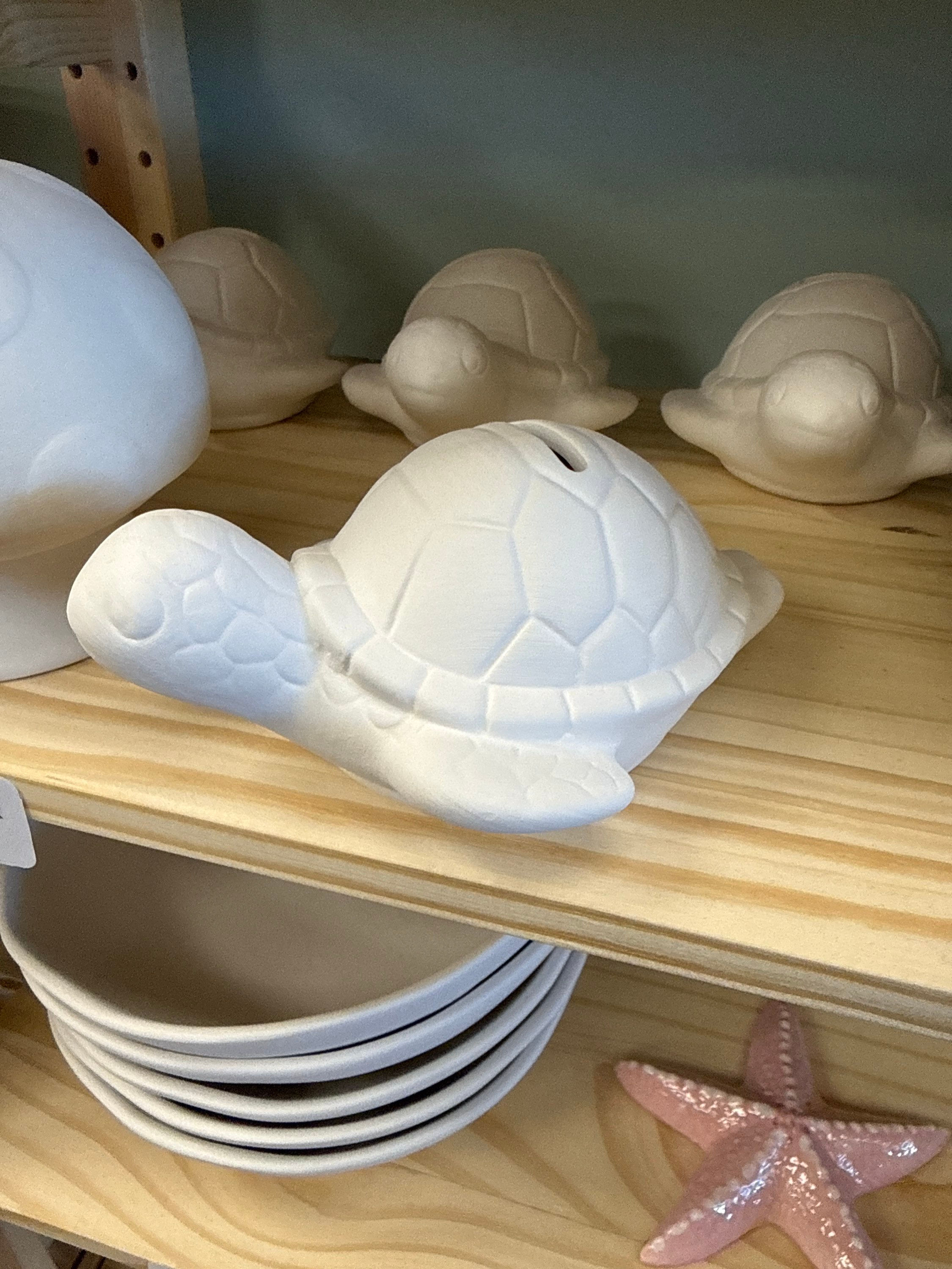 PYOP Sea Turtle Bank