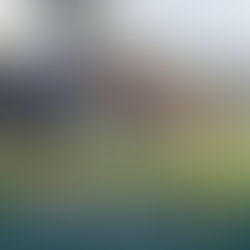 Award-Winning Home Design: PdD’s Bushfire Rebuild Named HIA GreenSmart Finalist