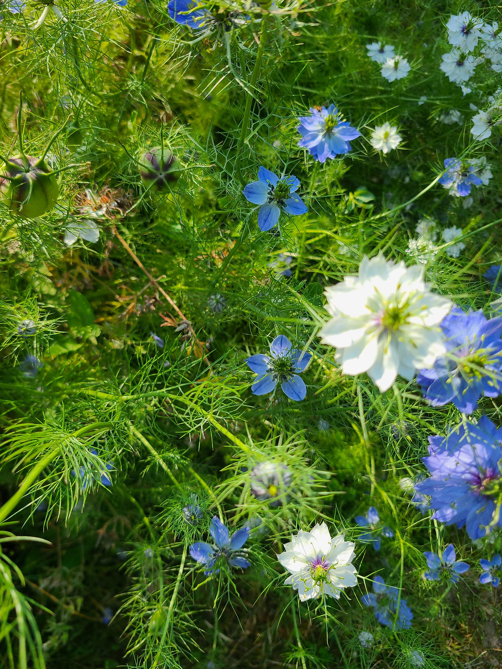 Miniature : Atelier bouquet du 14 juin 2026