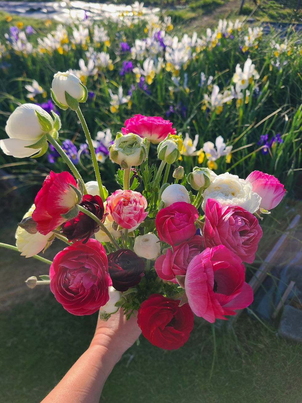 Miniature : Bouquet de fleurs de saison