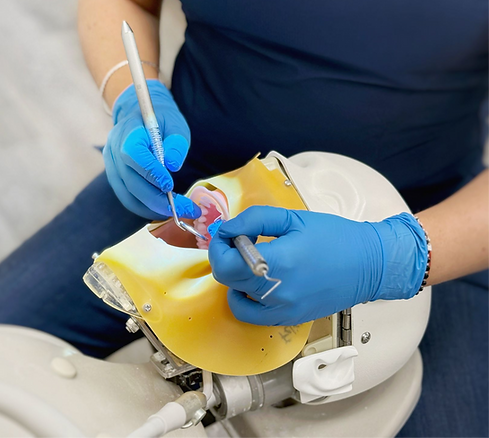 NDECC Clinical Skills Course - scholars dental_edited.png