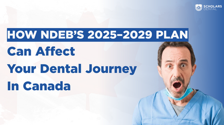 NDEB Strategic Plan for 2025-2029