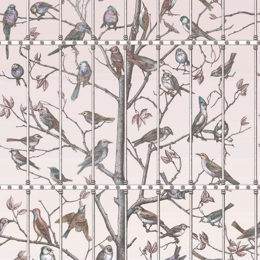 Fornasetti Senza Tempo - Uccelli 1