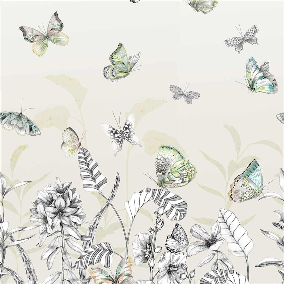 Mandora Wallpaper - Papillons Birch