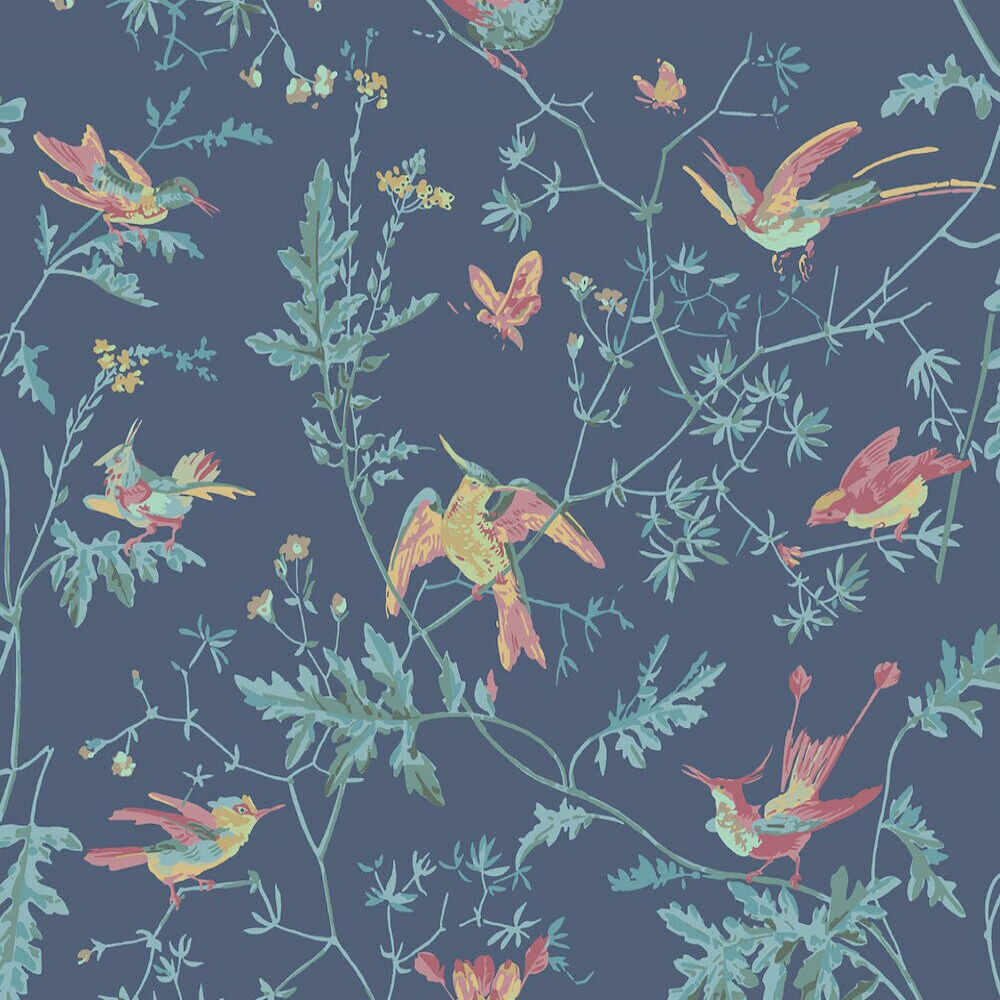 Archive Anthology - Hummingbirds