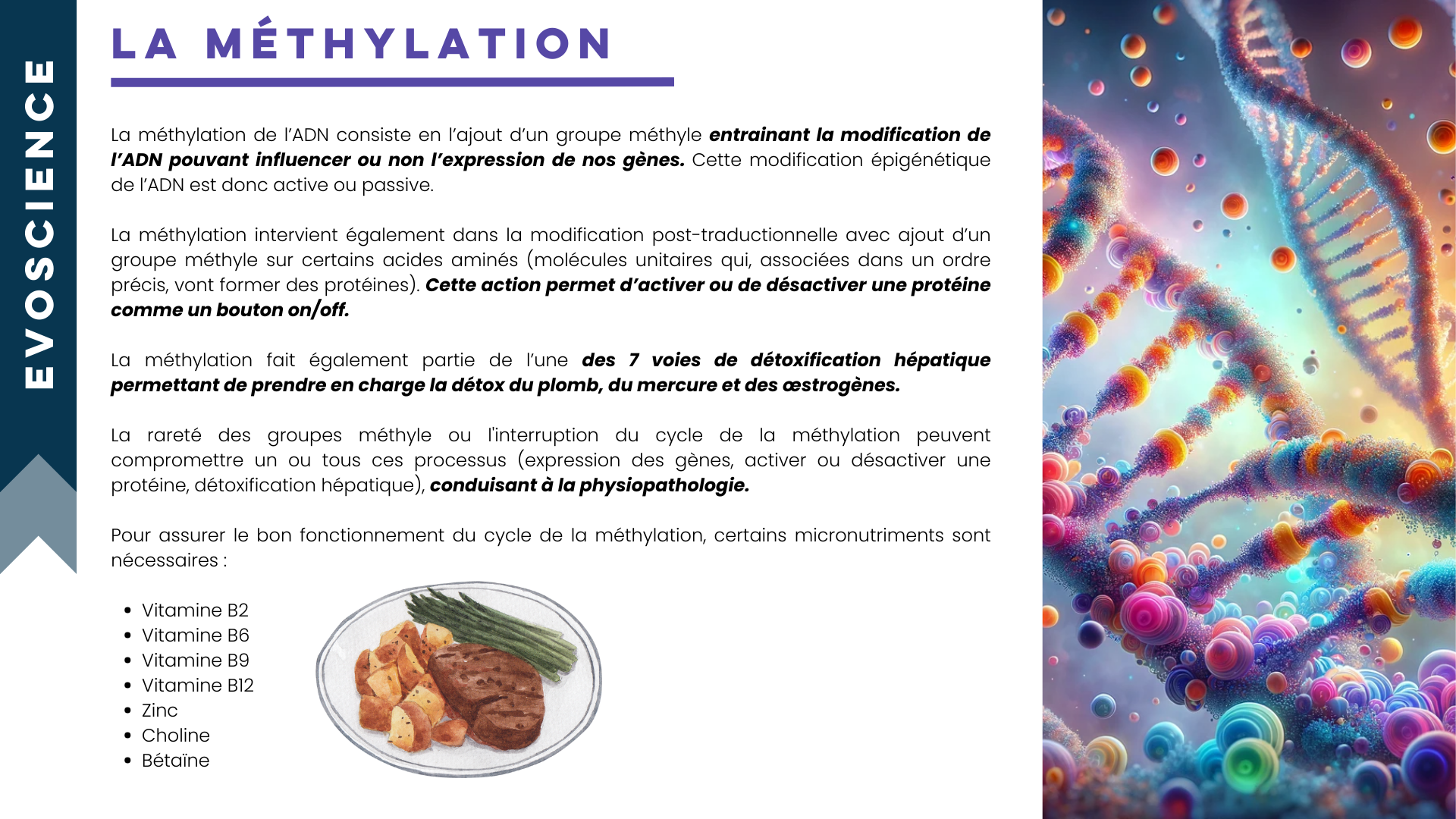 Sommaire partie 2