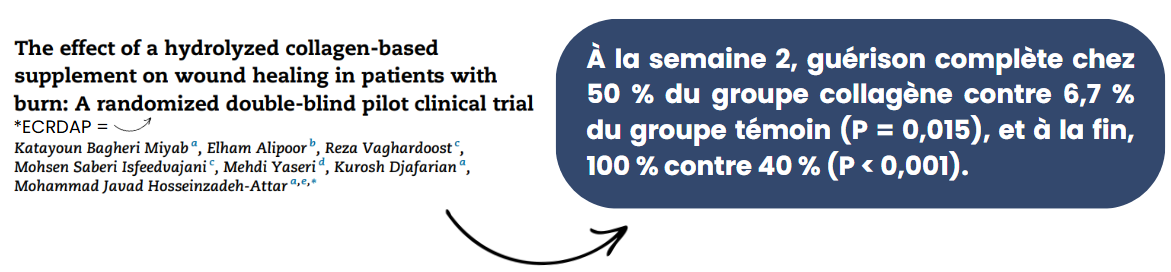 Étude collagène patients brûlés 2020