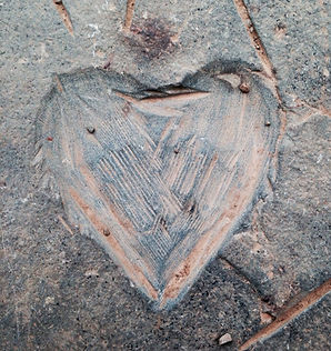 heart_edited.jpg