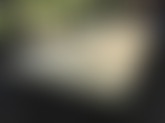 Finishing the Tiny House Subfloor