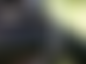 Tiny House Build: Day One