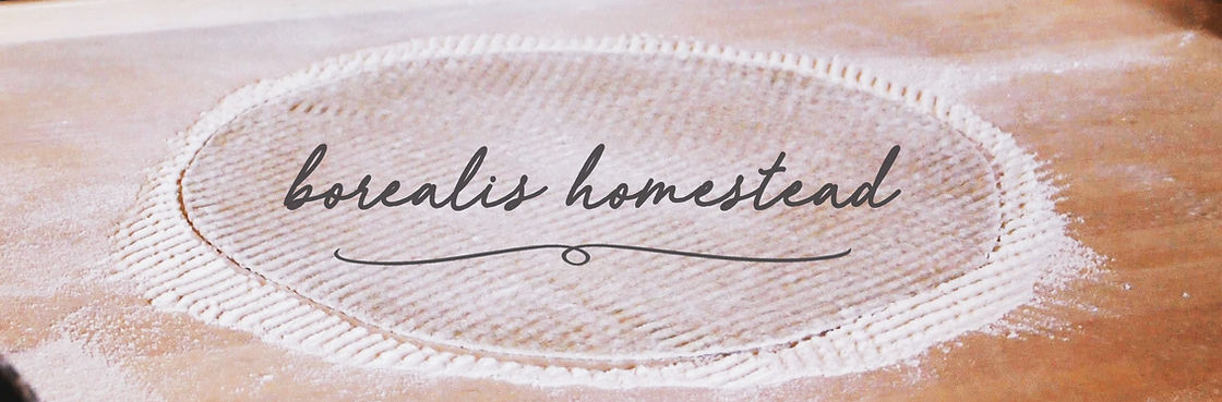 header_edited.jpg