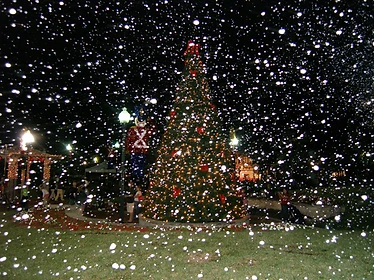 Snow Party event photo 4