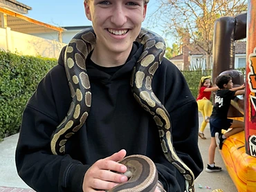 Reptile Show