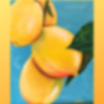 Lemons Photo