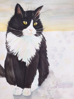 Mixie - My Kitty ( your pet )