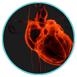 Video central final def.gif