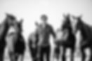 A44A1233_EDit_v1_flat.jpg