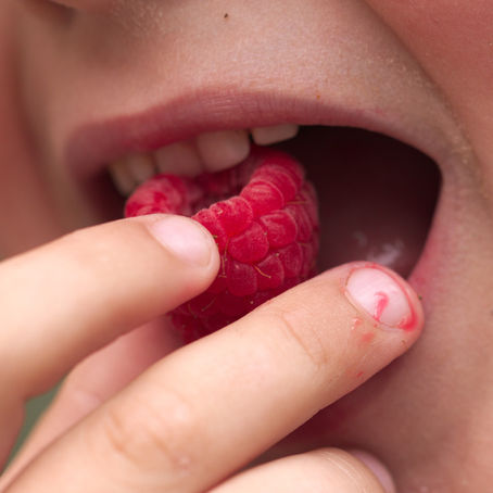 Holistic Wellness: How Oral Health Impacts Longevity