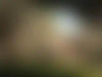 Elevated Magazines Luxury Report - Southern California Luxury Real Estate