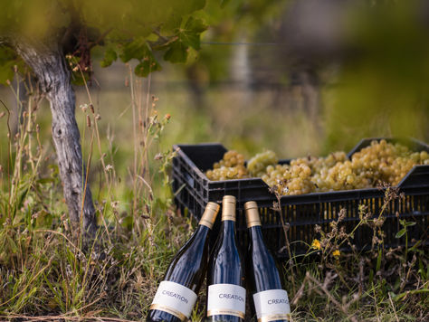 Creation Wines - Innovation, Sustainability & Guest Experience