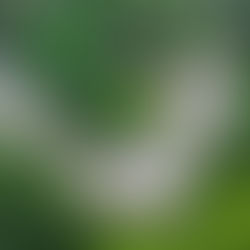 20 Main St, Nantucket, MA - $12,000,000