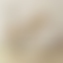 How Can Professional Design Services Transform Your Property?