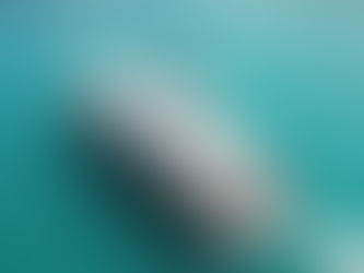 Superyacht Season in the Whitsundays - Australia's Most Extraordinary Charter Experience