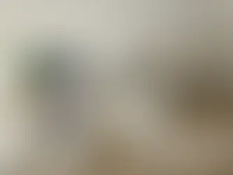 Sydney's Most Extraordinary Waterfront Properties