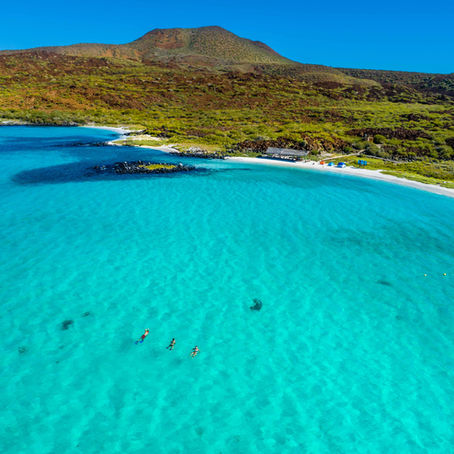 Savor Loreto's Allure: Eco-Friendly Resilience on the Sea of Cortez