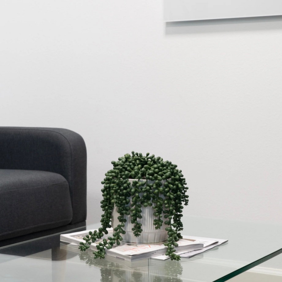 How to Style Artificial String of Pearls in Modern Home Interiors