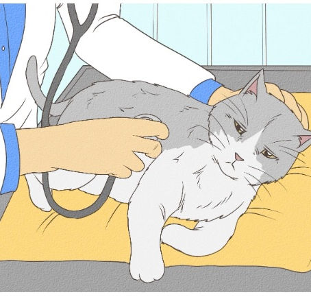 What to Do If Your Cat Has Been Poisoned