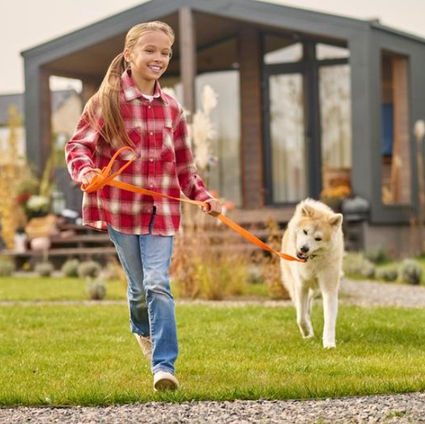 6 Tips to Make a Dog-Friendly Garden