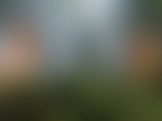 Wildfire Smoke Injuries: When Is There a Case?