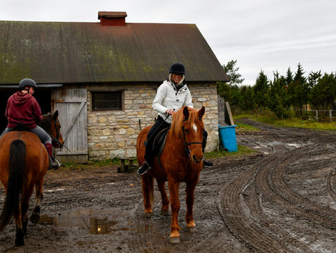 Equestrian and hobby-farm retirement: five places worth considering