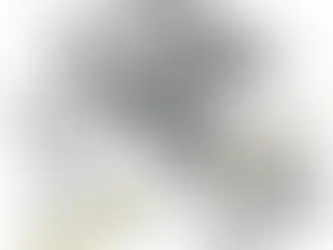 The Importance of Choosing the Right Pivot Door Hinge