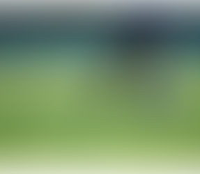 How NFL Prediction Markets Work: A Practical Guide