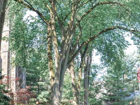 A Seasonal Water-Ready Home Plan for Ann Arbor, MI