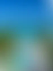 Salacia Villa, Grace Bay Beachfront, Turks and Caicos Islands, Sotheby's International Realty