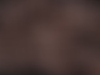 The Ultimate Guide to Coffee Beans: Everything You Need to Know