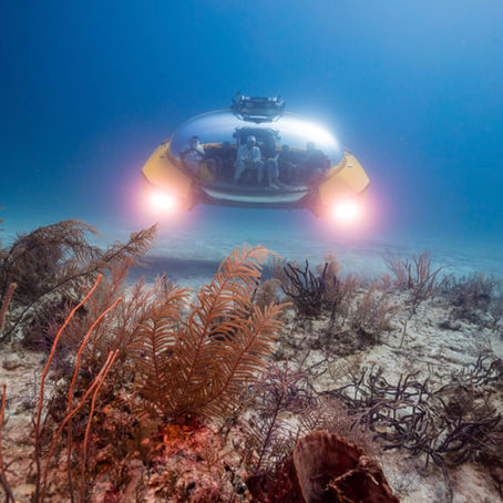 The Ultimate Dive - Owning a Triton Submersible