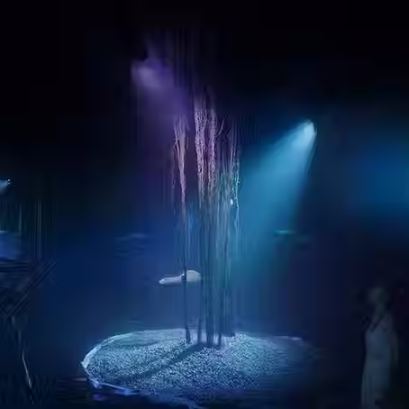 Immersive and Interactive: Exploring the Two Main Areas of teamLab Phenomena Abu Dhabi