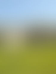 How to Sell a House Fast During a Divorce