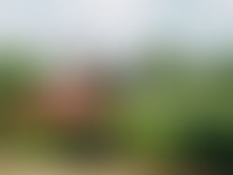 How to Analyze Odds for a Competitive Betting Edge