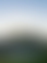 How Much Does It Cost to Hire a Reputable SEO Company in Calgary for a Small to Medium Business?