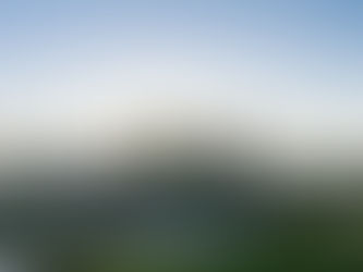 How Much Does It Cost to Hire a Reputable SEO Company in Calgary for a Small to Medium Business?