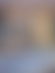 Where Global Investors Meet Luxury Property