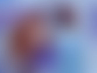 Rising from the Ashes - Boris Vujovich