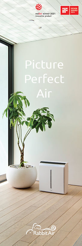 Cindy Ambuehl Christie's International Realty