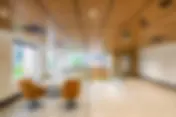 Elevating Interiors with Innovative Ceiling Tiles Design